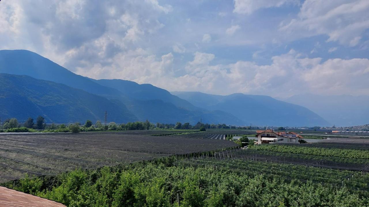 Mittelbergerhof Ferienwohnungen Vilpiano Екстер'єр фото